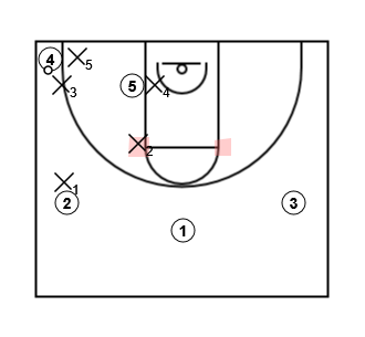 41 box corner trap